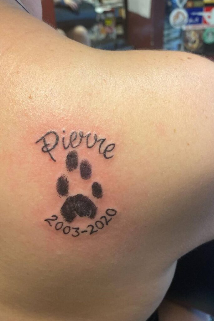 Wild Black Cat Silhouette Tattoo